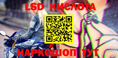 PSILOCYBIN Конаково