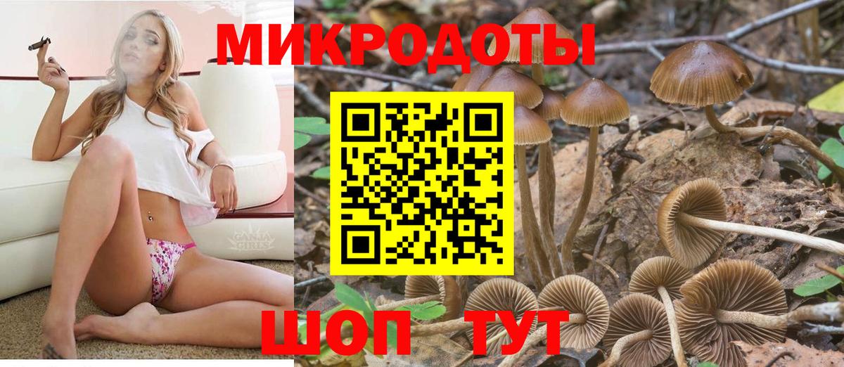 Галлюциногенные грибы Psilocybine cubensis  Галлюциногенные грибы Psilocybe  Котлас  Вход с VPN 