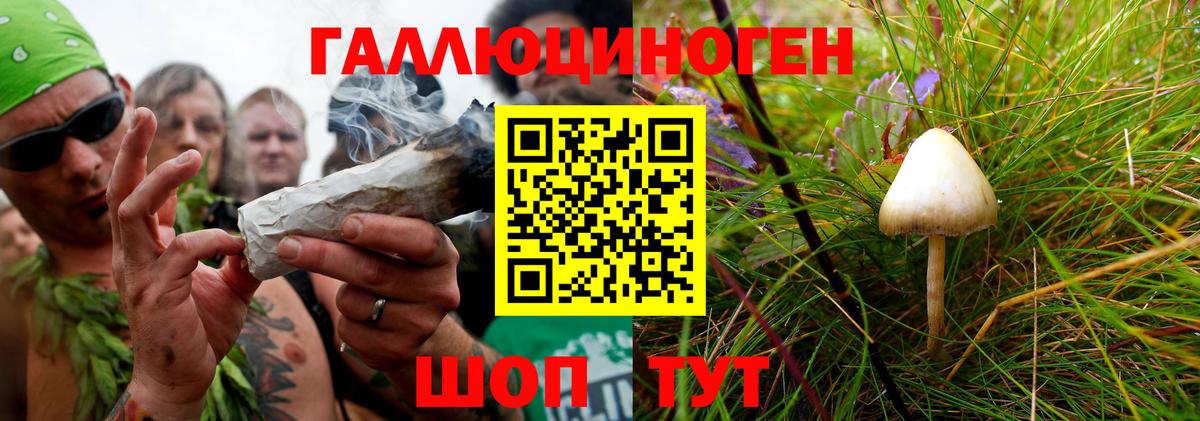 Псилоцибиновые грибы GOLDEN TEACHER Котлас