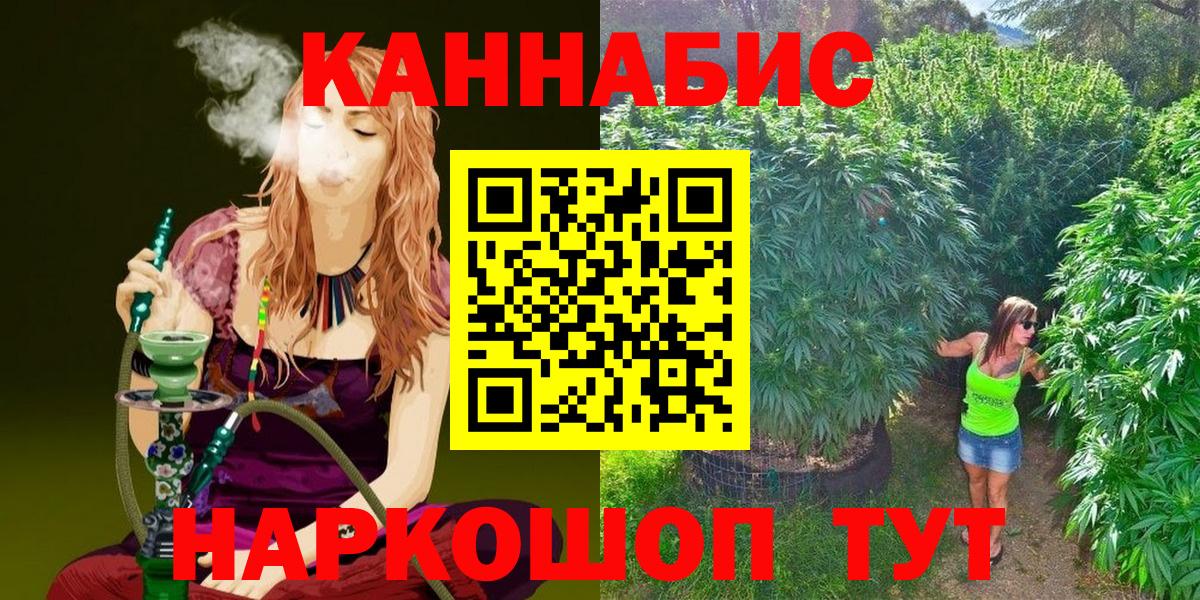 Бошки Шишки план Котлас